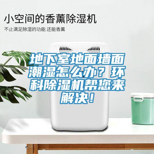 地下室地面墻面潮濕怎么辦？環(huán)科除濕機幫您來解決！