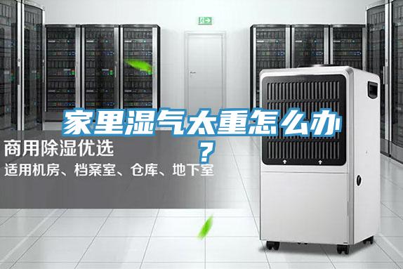 家里濕氣太重怎么辦？