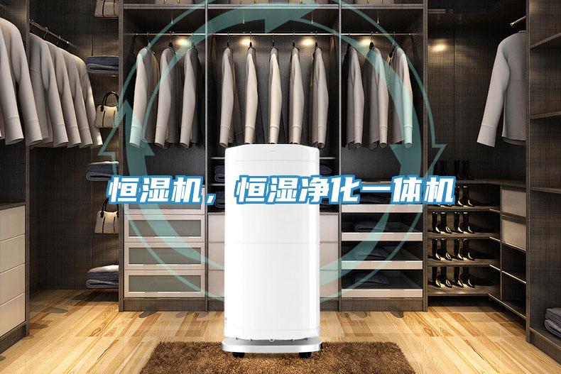 恒濕機，恒濕凈化一體機