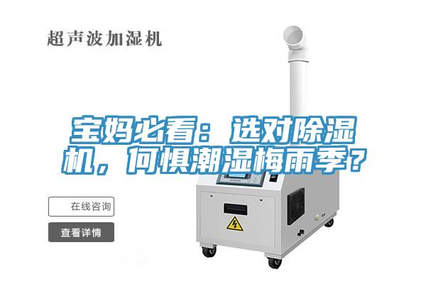 寶媽必看：選對除濕機(jī)，何懼潮濕梅雨季？