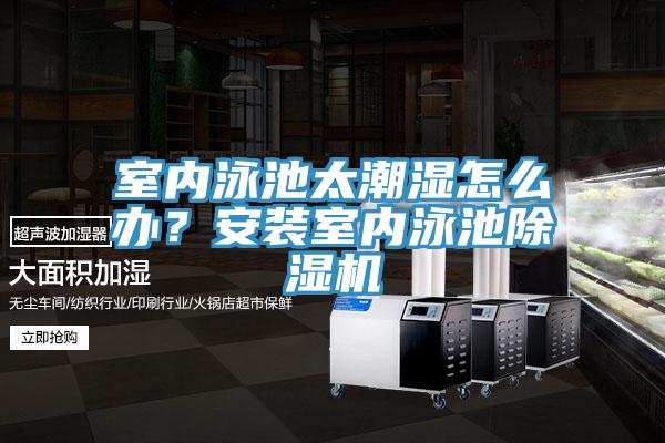 室內(nèi)泳池太潮濕怎么辦？安裝室內(nèi)泳池除濕機
