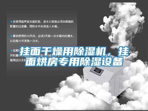 掛面干燥用除濕機(jī)，掛面烘房專用除濕設(shè)備