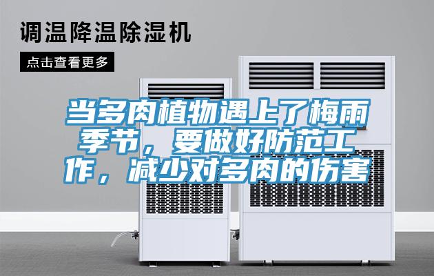 當(dāng)多肉植物遇上了梅雨季節(jié)，要做好防范工作，減少對多肉的傷害