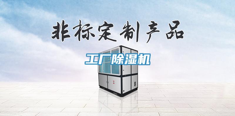 工廠除濕機(jī)