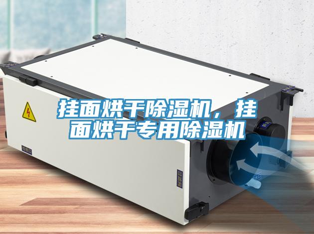 掛面烘干除濕機(jī)，掛面烘干專用除濕機(jī)