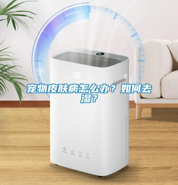 寵物皮膚病怎么辦？如何去濕？