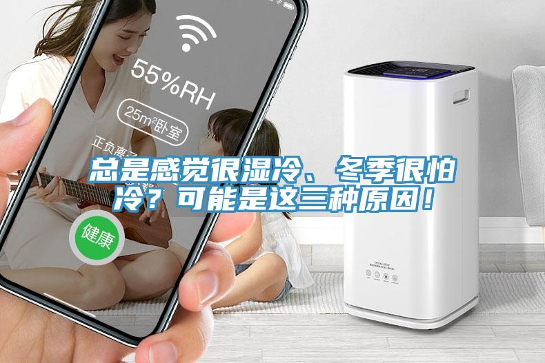 總是感覺很濕冷、冬季很怕冷？可能是這三種原因！