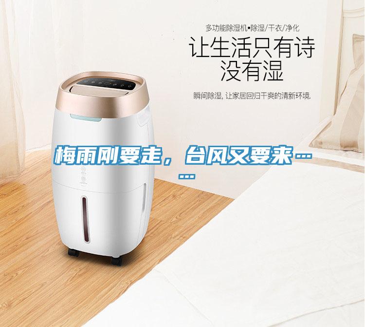 梅雨剛要走，臺(tái)風(fēng)又要來……
