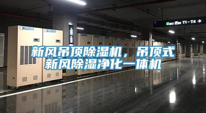新風(fēng)吊頂除濕機(jī)，吊頂式新風(fēng)除濕凈化一體機(jī)