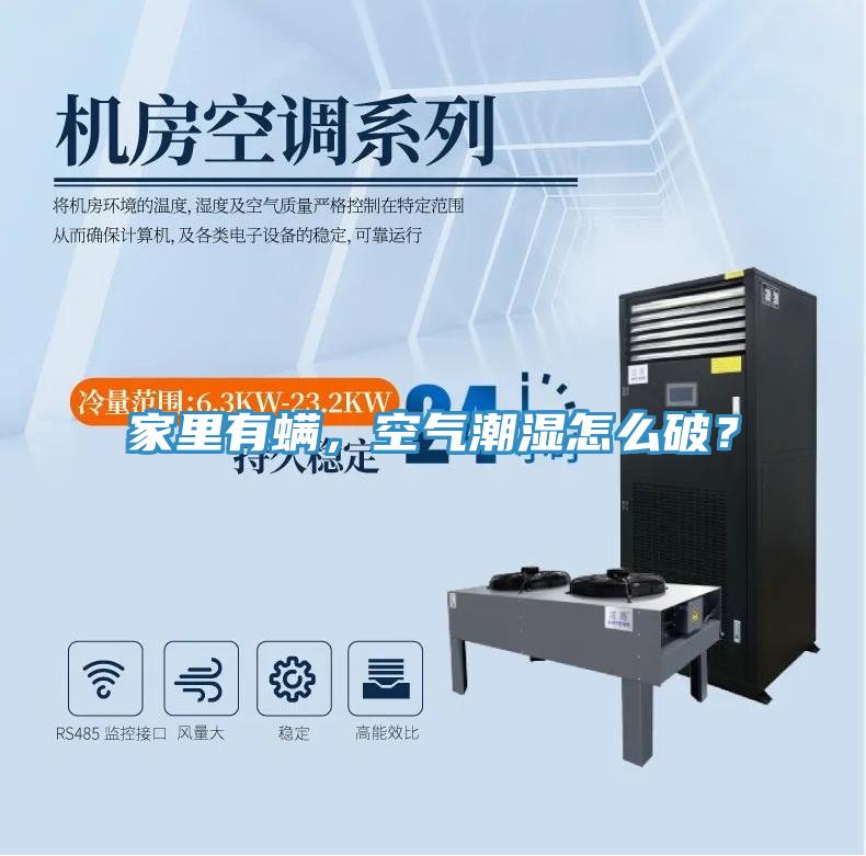 家里有螨，空氣潮濕怎么破？