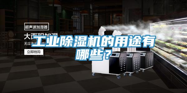 工業(yè)除濕機(jī)的用途有哪些？