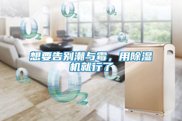想要告別潮與霉，用除濕機就行了