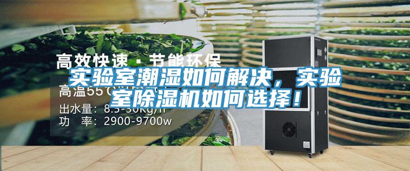 實驗室潮濕如何解決，實驗室除濕機如何選擇！