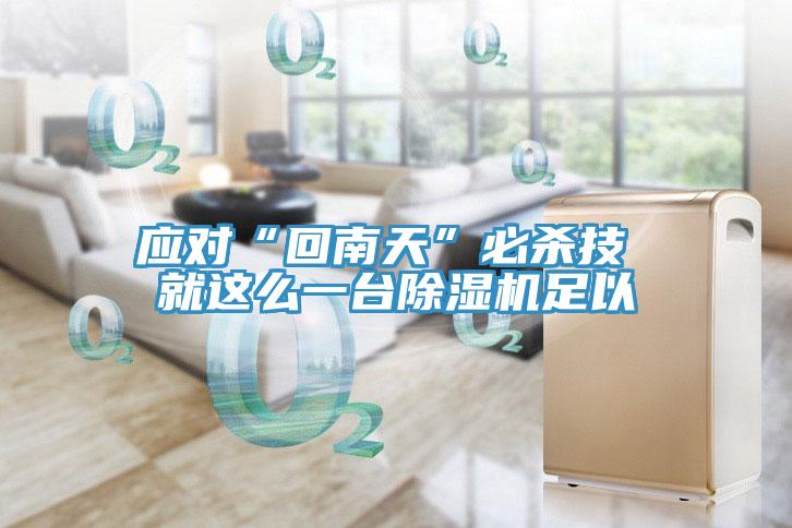 應(yīng)對“回南天”必殺技 就這么一臺除濕機(jī)足以