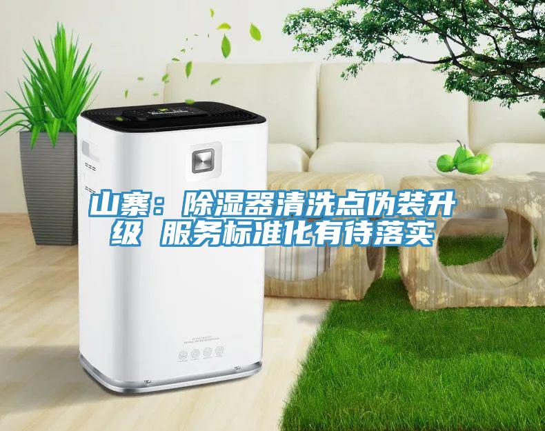 山寨：除濕器清洗點(diǎn)偽裝升級(jí) 服務(wù)標(biāo)準(zhǔn)化有待落實(shí)