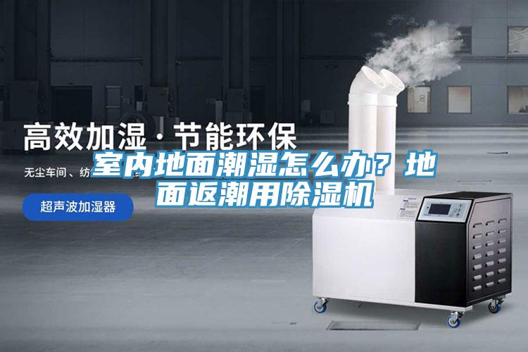 室內(nèi)地面潮濕怎么辦？地面返潮用除濕機