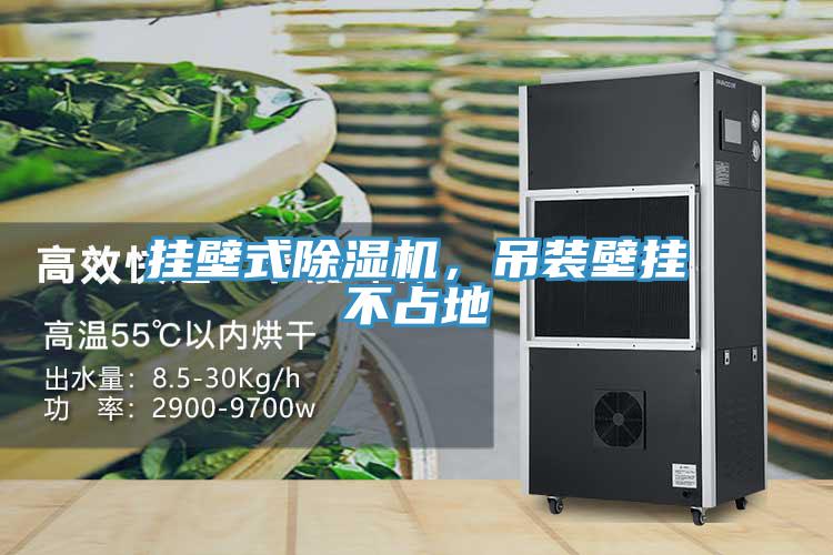 掛壁式除濕機(jī)，吊裝壁掛不占地