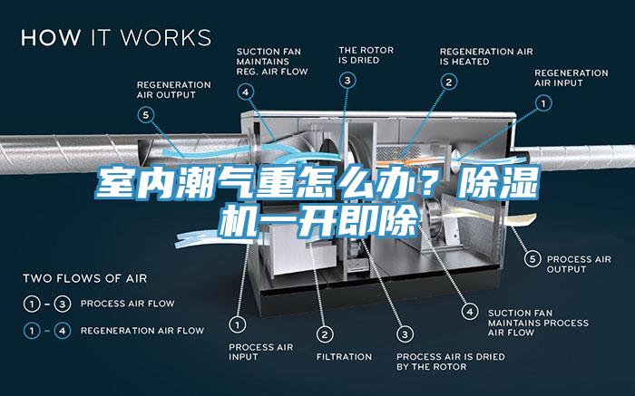 室內(nèi)潮氣重怎么辦？除濕機(jī)一開即除