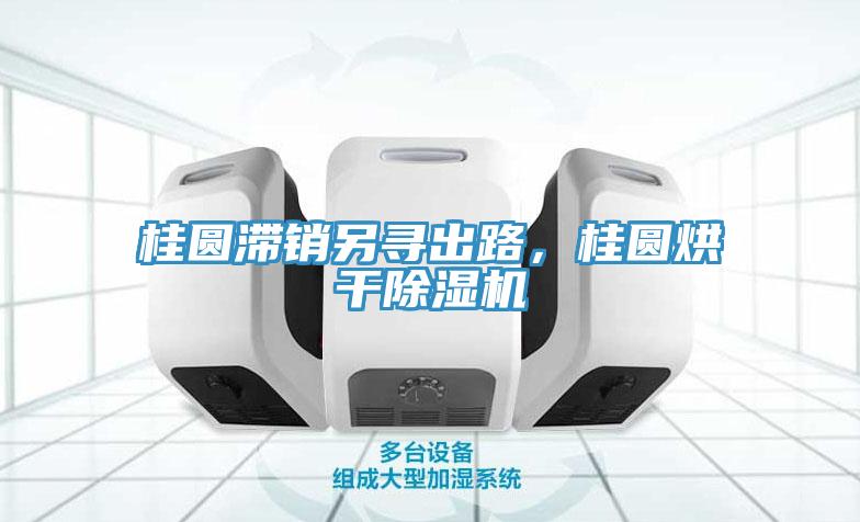 桂圓滯銷另尋出路，桂圓烘干除濕機(jī)