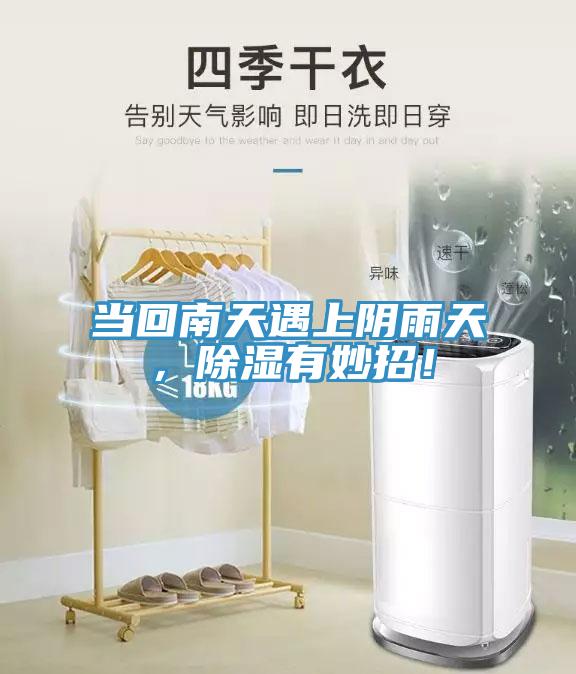 當(dāng)回南天遇上陰雨天，除濕有妙招！