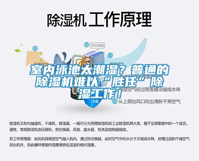 室內(nèi)泳池太潮濕？普通的除濕機(jī)難以“勝任”除濕工作！