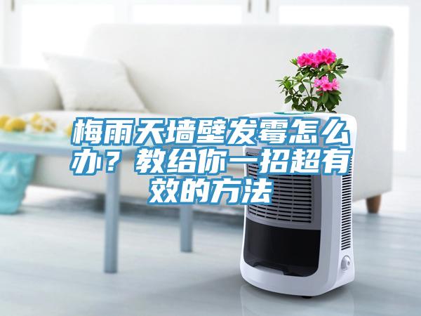 梅雨天墻壁發(fā)霉怎么辦？教給你一招超有效的方法
