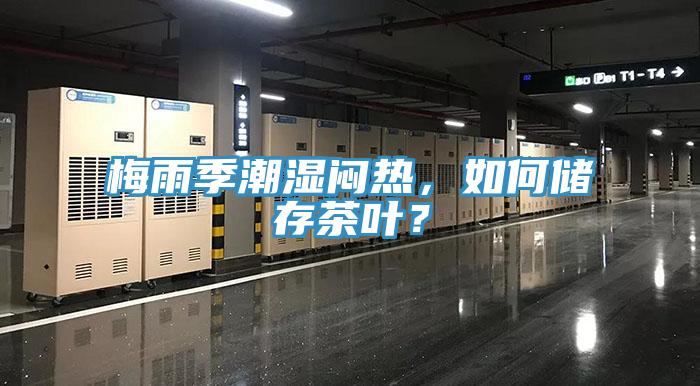梅雨季潮濕悶熱，如何儲存茶葉？