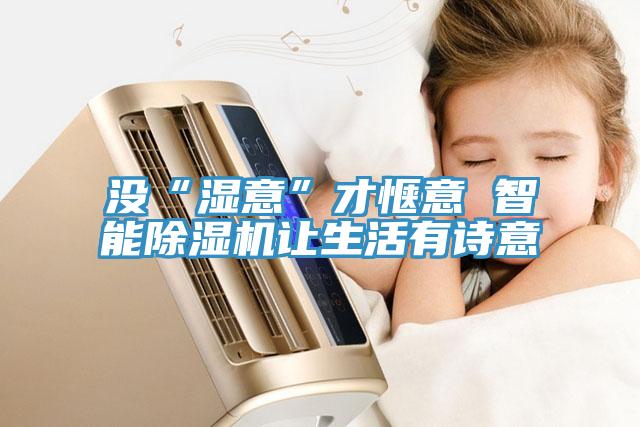 沒(méi)“濕意”才愜意 智能除濕機(jī)讓生活有詩(shī)意