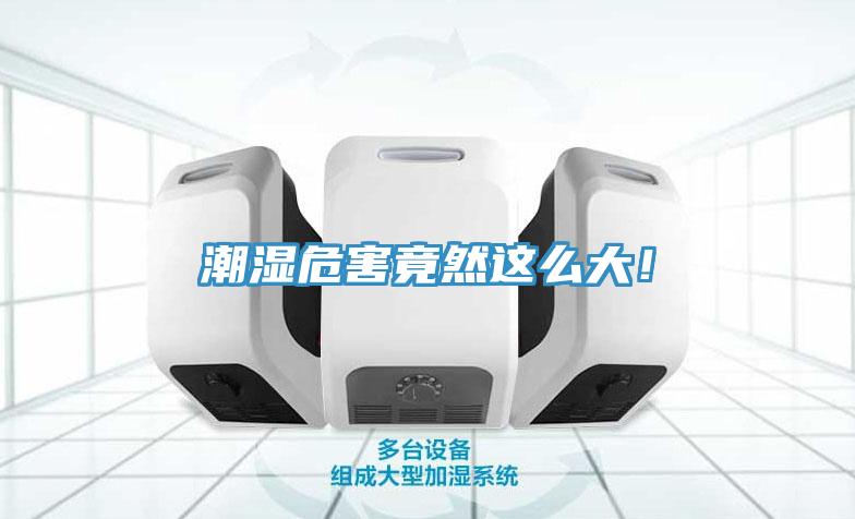 潮濕危害竟然這么大！