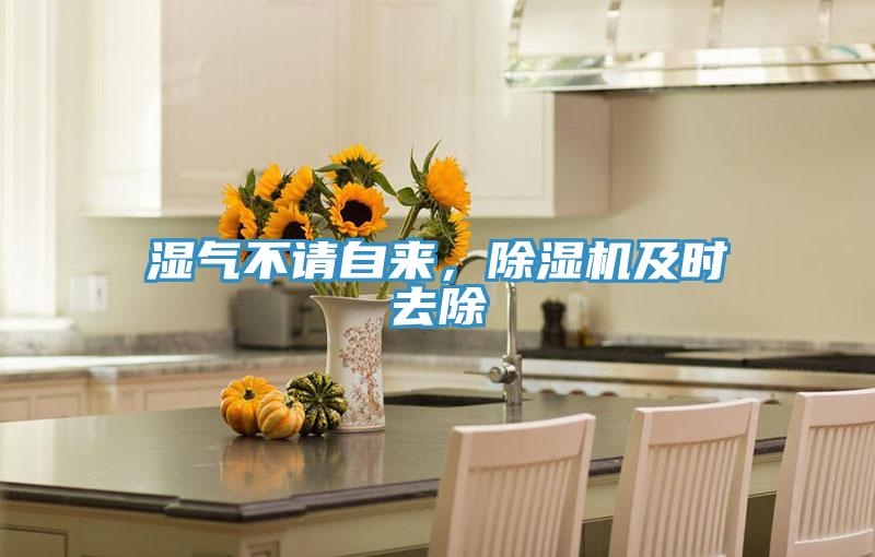濕氣不請自來，除濕機及時去除