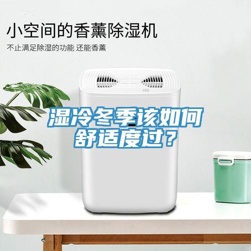 濕冷冬季該如何舒適度過？