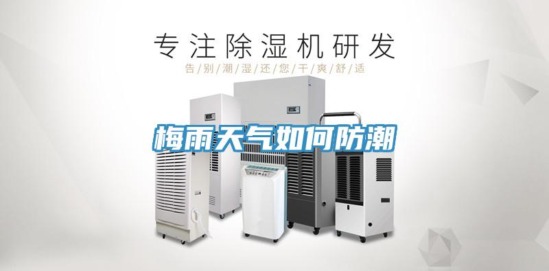 梅雨天氣如何防潮