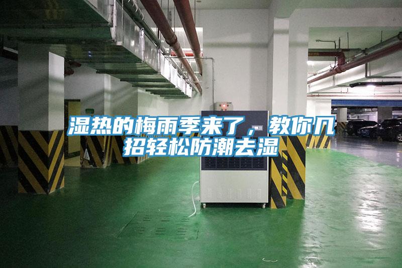 濕熱的梅雨季來了，教你幾招輕松防潮去濕