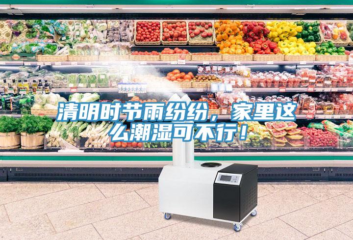 清明時節(jié)雨紛紛，家里這么潮濕可不行！