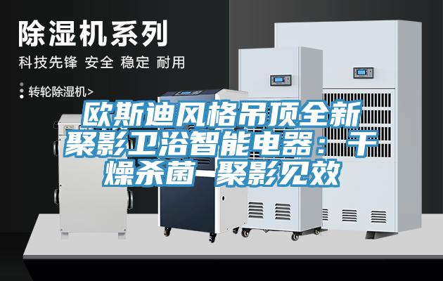 歐斯迪風(fēng)格吊頂全新聚影衛(wèi)浴智能電器：干燥殺菌 聚影見效