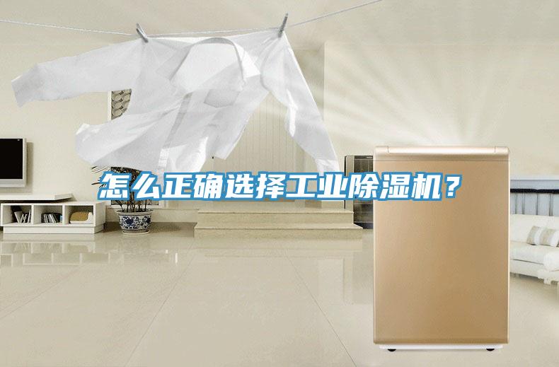 怎么正確選擇工業(yè)除濕機(jī)？