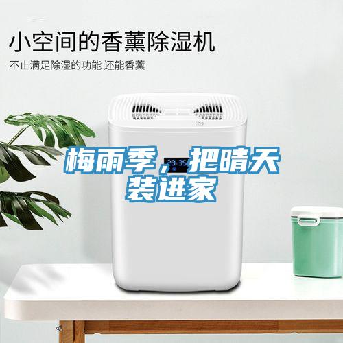 梅雨季，把晴天裝進(jìn)家