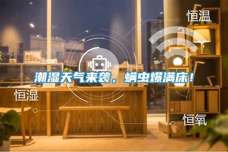 潮濕天氣來襲，螨蟲爆滿床！