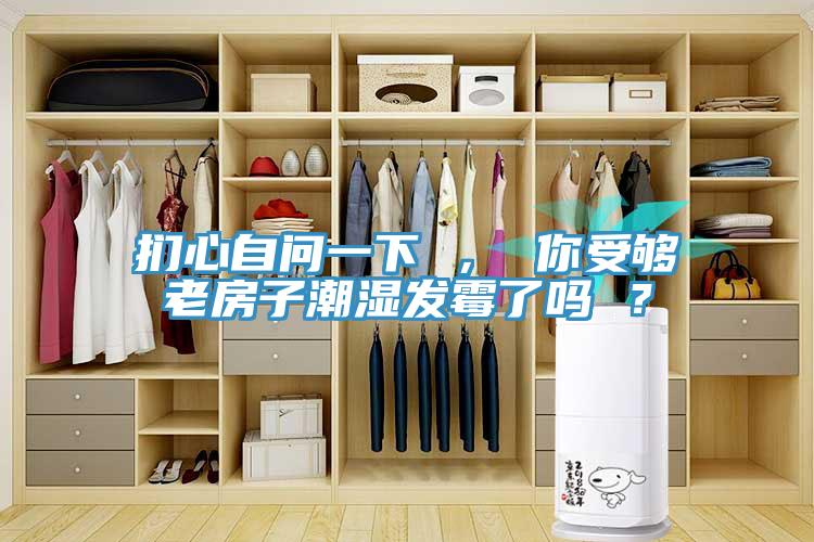 捫心自問(wèn)一下 ， 你受夠老房子潮濕發(fā)霉了嗎 ？