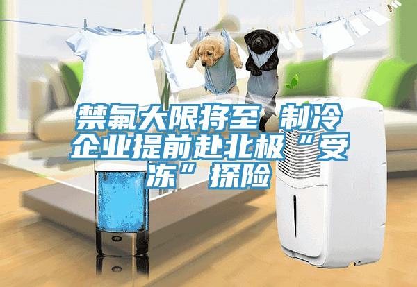 禁氟大限將至 制冷企業(yè)提前赴北極“受凍”探險(xiǎn)