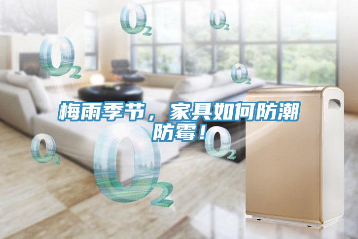 梅雨季節(jié)，家具如何防潮防霉！