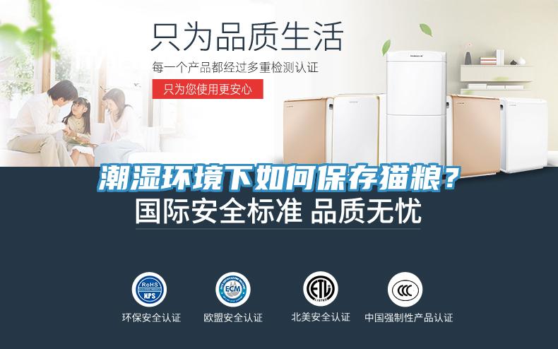 潮濕環(huán)境下如何保存貓糧？