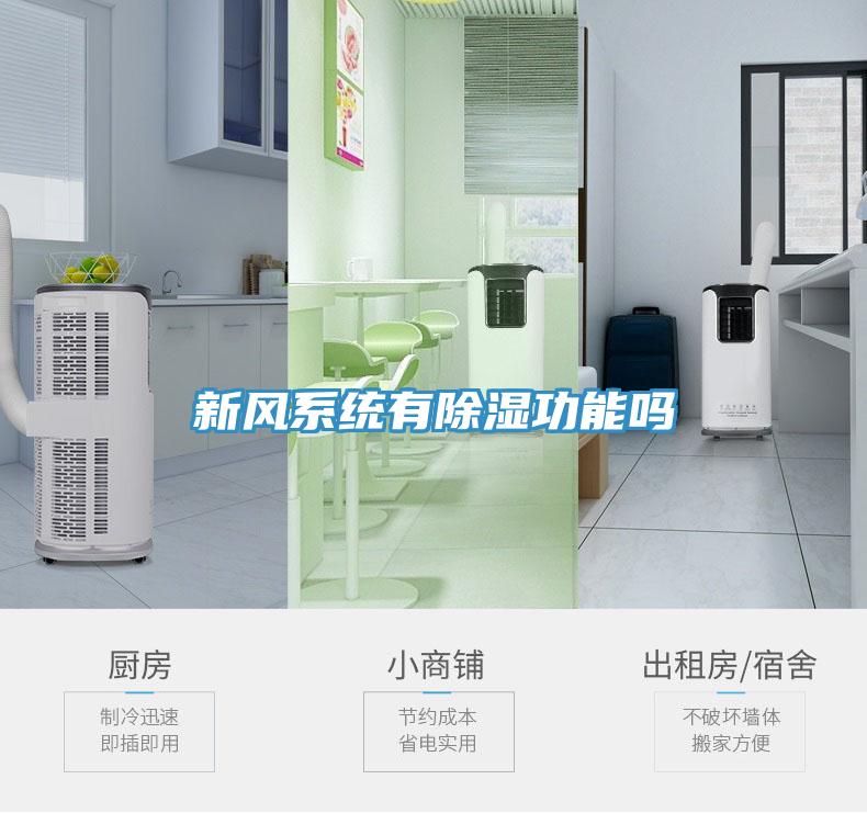 新風(fēng)系統(tǒng)有除濕功能嗎