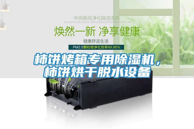 柿餅烤箱專用除濕機，柿餅烘干脫水設備