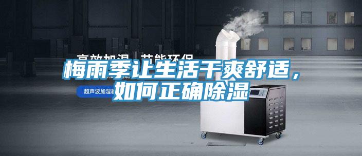 梅雨季讓生活干爽舒適，如何正確除濕