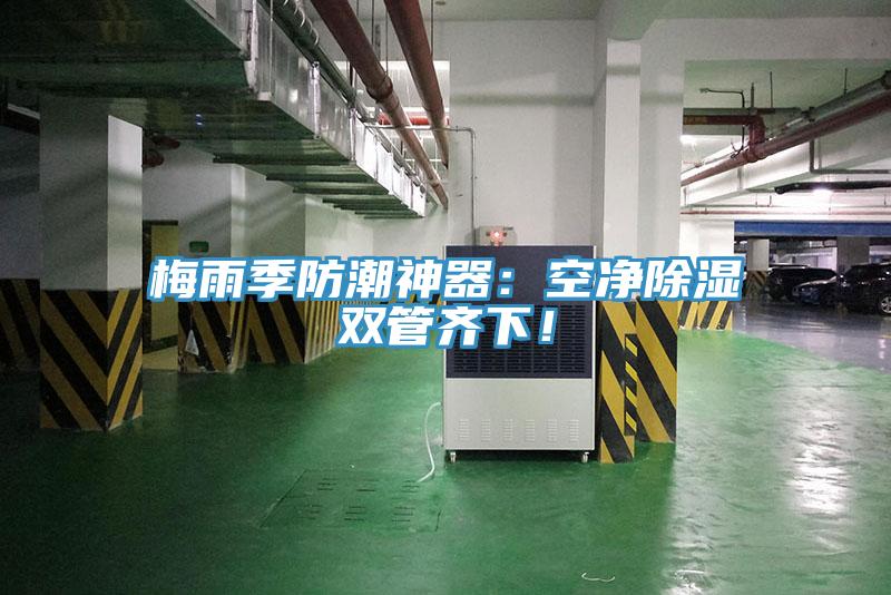 梅雨季防潮神器：空凈除濕雙管齊下！