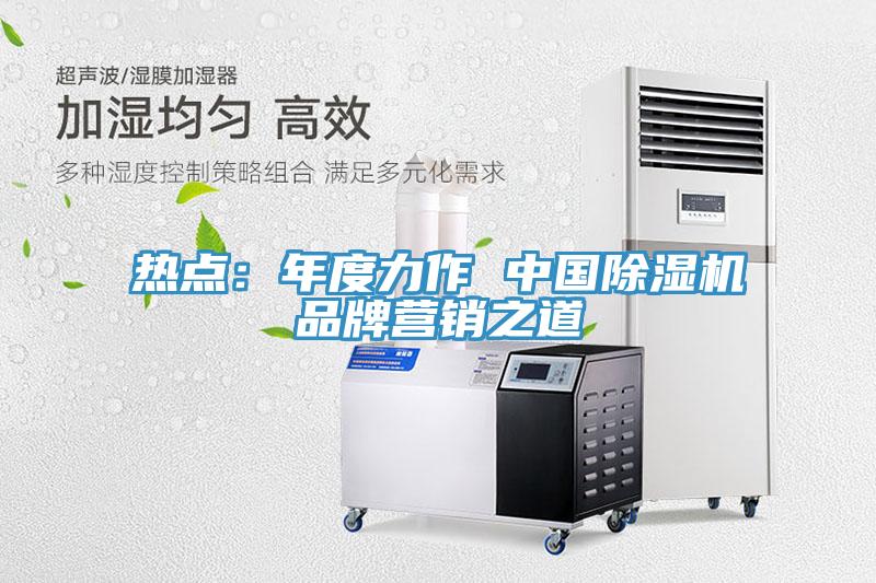 熱點(diǎn)：年度力作 中國(guó)除濕機(jī)品牌營(yíng)銷之道