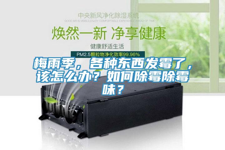 梅雨季，各種東西發(fā)霉了，該怎么辦？如何除霉除霉味？