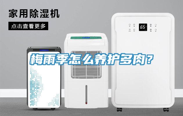 梅雨季怎么養(yǎng)護(hù)多肉？