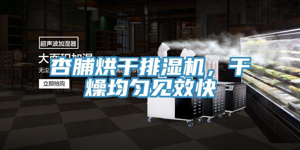 杏脯烘干排濕機，干燥均勻見效快